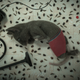 Image for article titled Modern stop-motion animation masters collaborate on Netflix’s creepy anthology film The House
